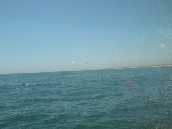 Click to see next picture